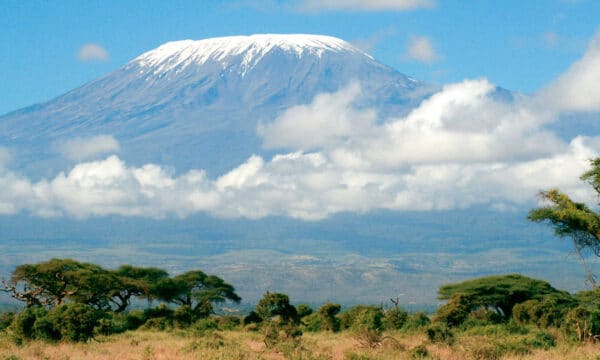 Kilimanjaro | June 2025