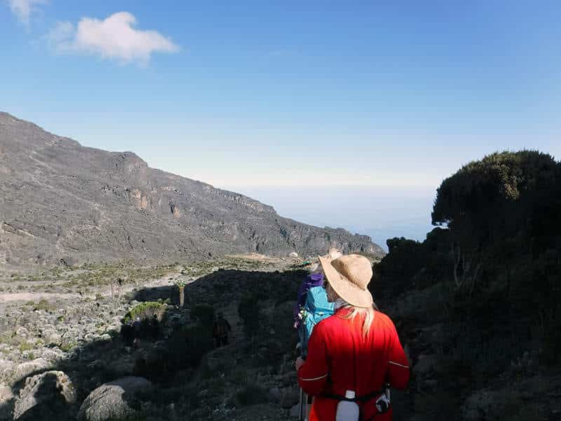 Breathtaking views up Mount Kilimanjaro