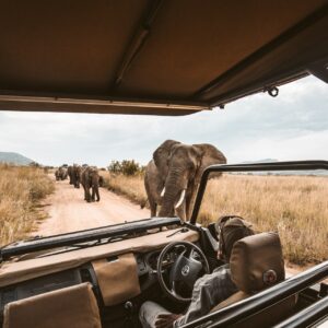 2 Day Safari