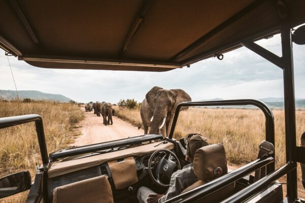 2 Day Safari